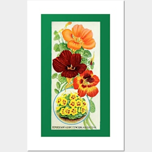 Nasturtiums of 1906 Posters and Art